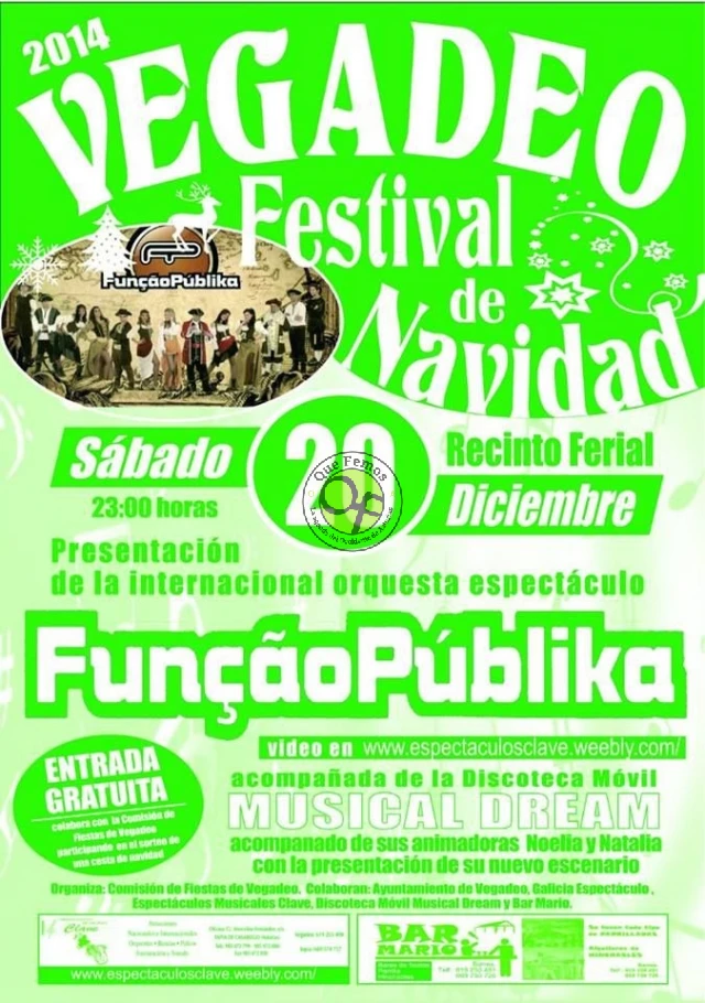 Festival de Navidad 2014 en Vegadeo