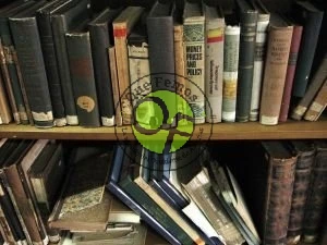 Tertulia literaria en Luarca con Gloria Sagasti