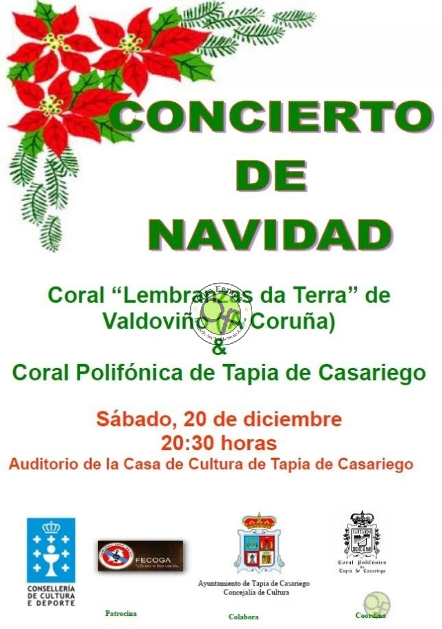 Concierto de Navidad 2014 en Tapia