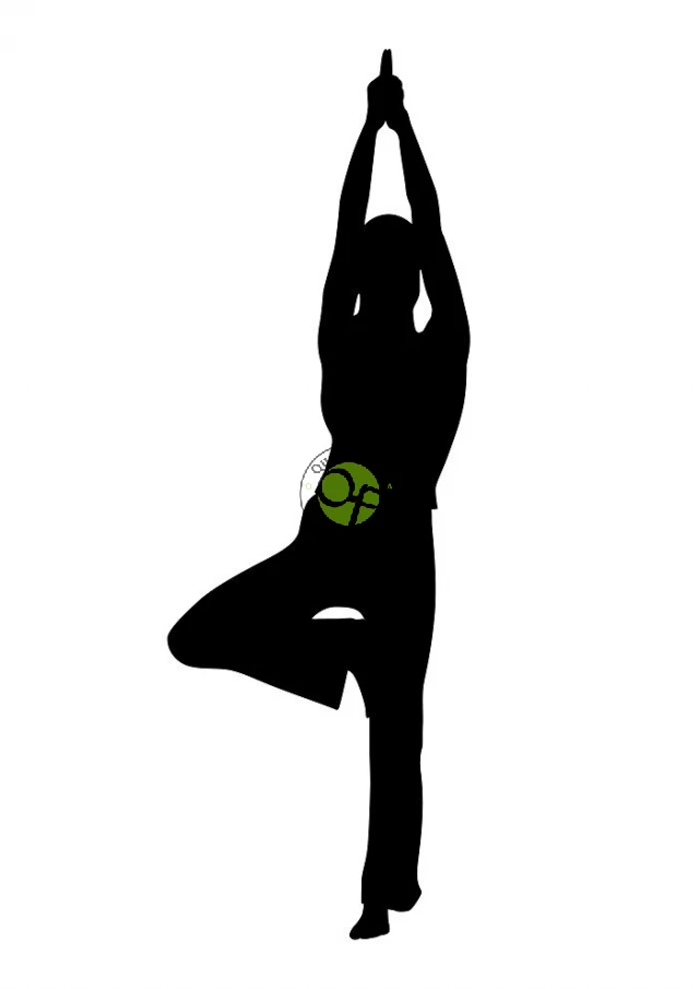 Yoga en la Escuela de Salud de El Franco