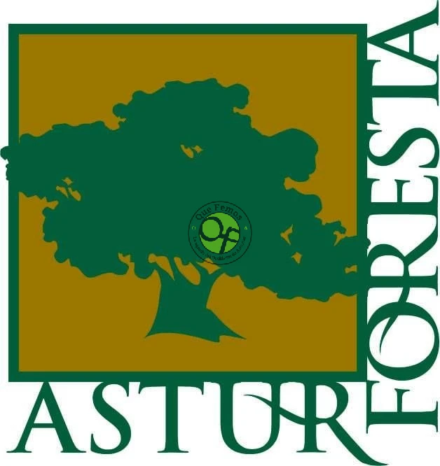 X Feria Internacional Forestal Asturforesta en Tineo 2015