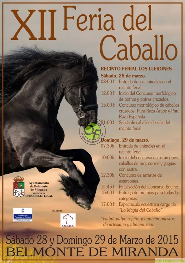 XII Feria del Caballo en Belmonte de Miranda 2015