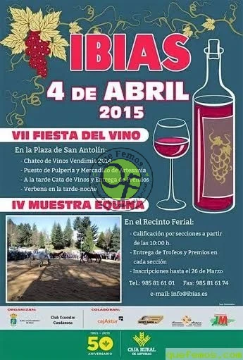 VII Fiesta del Vino en Ibias 2015