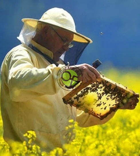 Curso de iniciación a la apicultura en Santalla de Oscos: abril 2015
