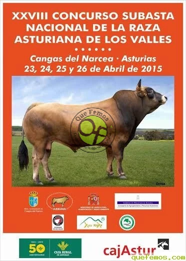 XXVIII Concurso Subasta Asturiana de los Valles en Cangas del Narcea 2015