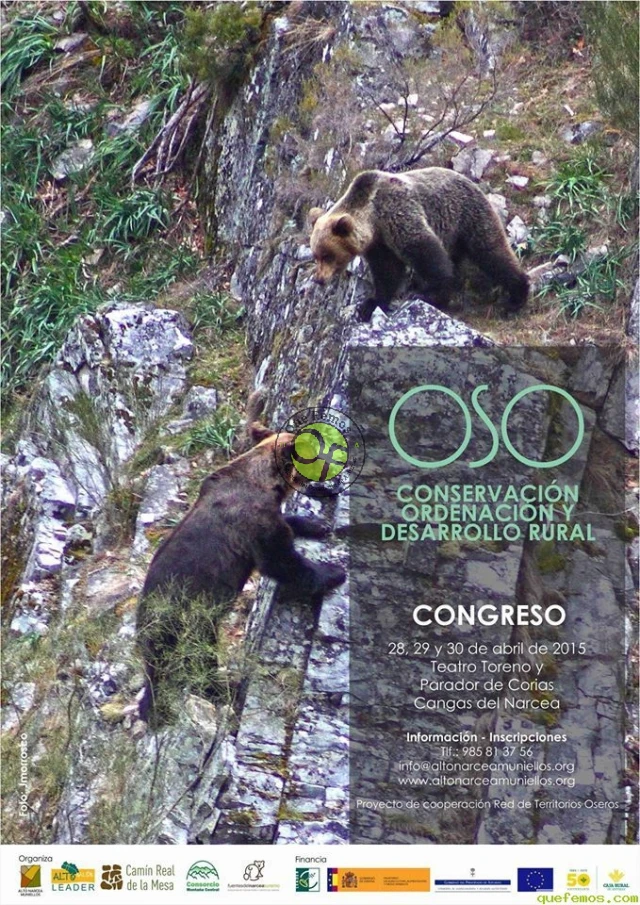 Congreso sobre el oso pardo en Cangas del Narcea