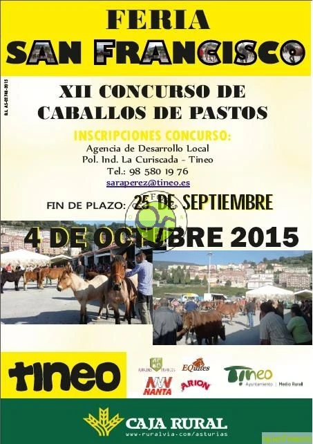 Feria de San Francisco y XII Concurso de caballos de pastos 2015 en Tineo