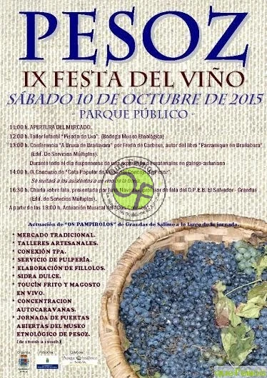IX Festa del Viño en Pesoz 2015