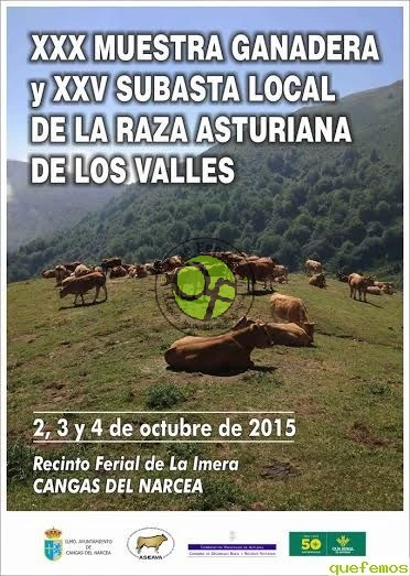 XXX Muestra Ganadera Local de la Raza Asturiana de los Valles en Cangas 2015