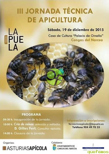 III Jornada Técnica de Apicultura 2015 en Cangas del Narcea