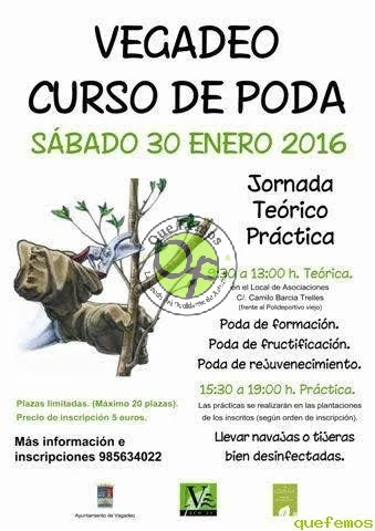 Curso de poda en Vegadeo