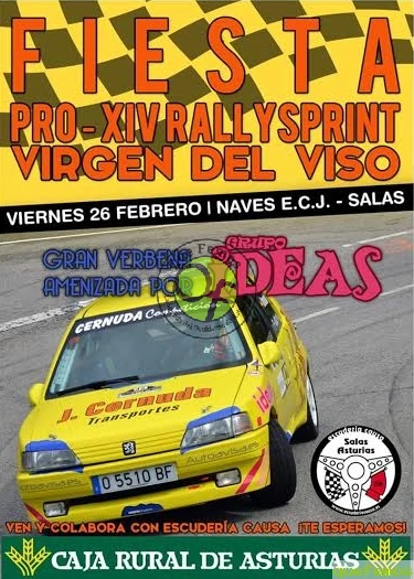 Fiesta Pro-XIV Rally Sprint Virgen del Viso en Salas