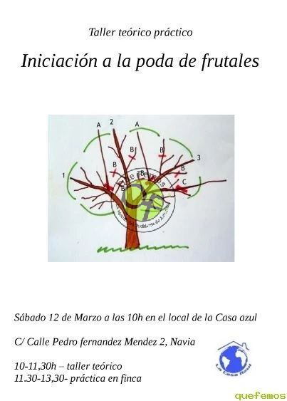 Taller teórico-práctico de iniciación a la poda de frutales en La Casa Azul