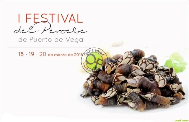 I Festival del Percebe de Puerto de Vega 2016