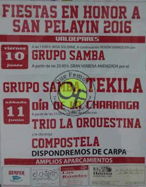 Fiestas de San Pelayo 2016 en Valdepares