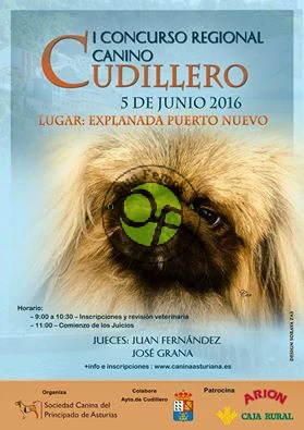 I Concurso Regional Canino en Cudillero 2016