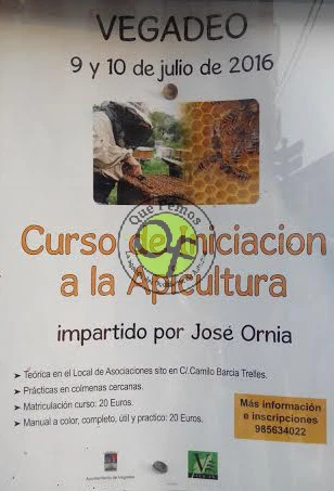 Curso de iniciación a la apicultura en Vegadeo