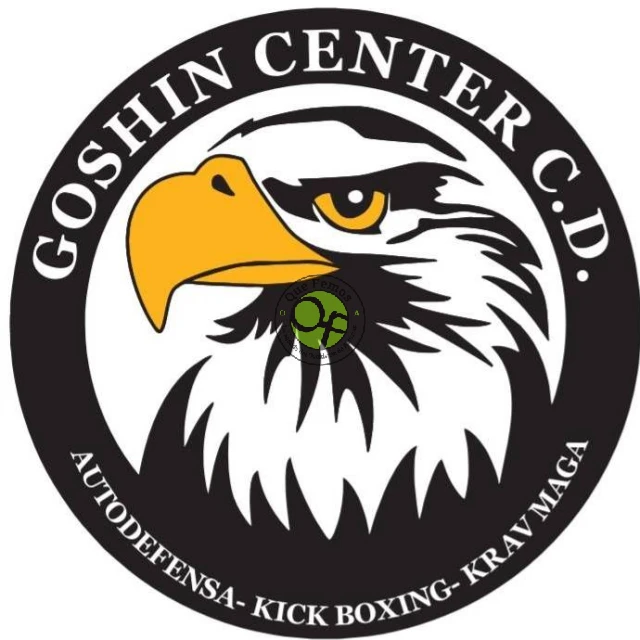 Curso 2016-2017 de Kick Boxing y Krav Maga en Navia con Goshin Center