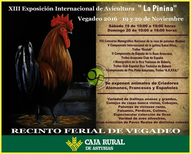 XIII Exposición Internacional de Avicultura “La Pinina” en Vegadeo 2016