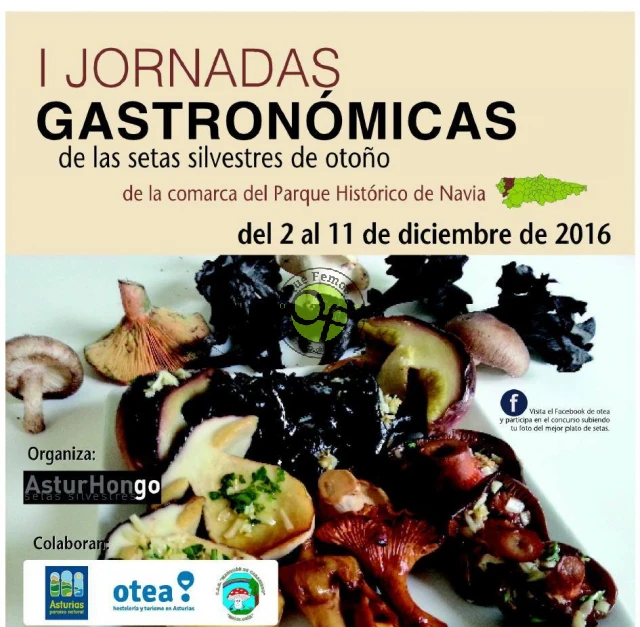 I Jornadas Gastronómicas de las Setas Silvestres en el Parque Histórico del Navia 2016