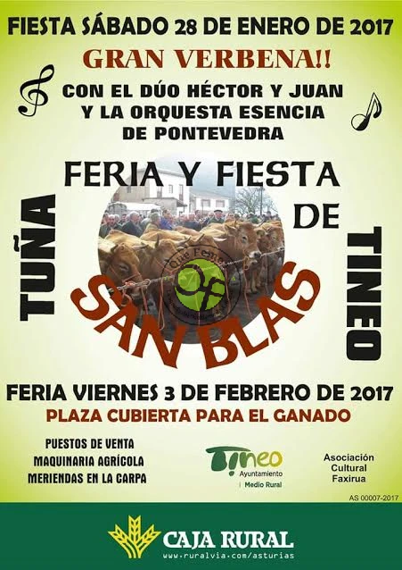 Feria y fiesta de San Blas 2017 en Tuña