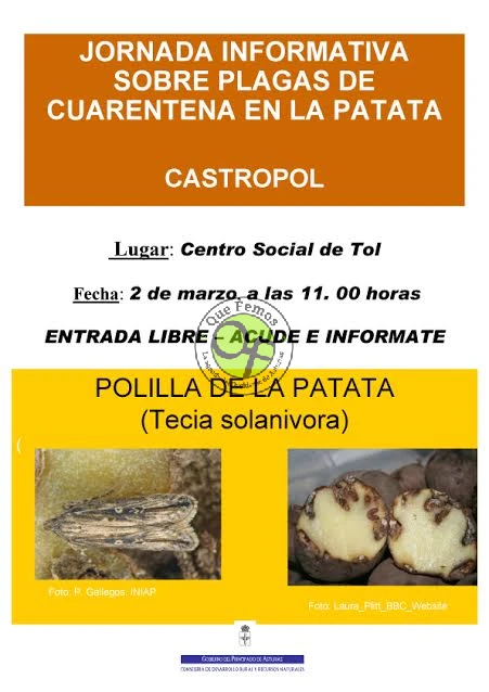 Jornada Informativa sobre Plagas de Cuarentena en la Patata en Tol