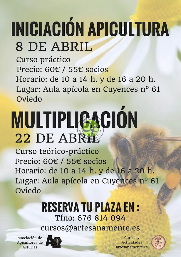 Artesanamente viaja a Oviedo para impartir sendos cursos de apicultura