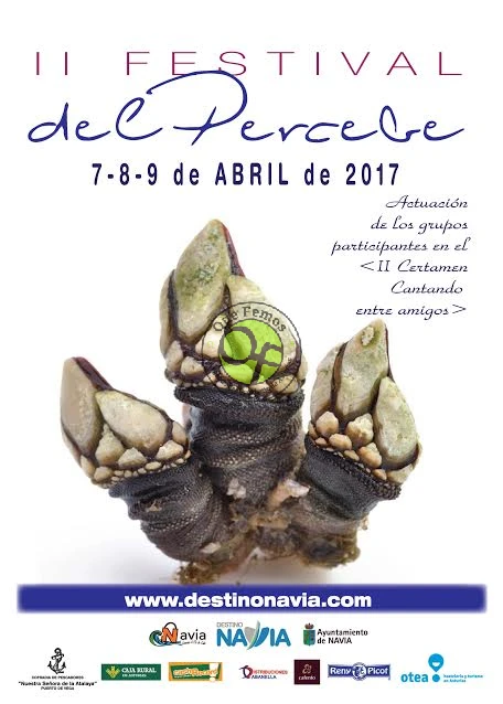 II Festival del Percebe de Puerto de Vega 2017