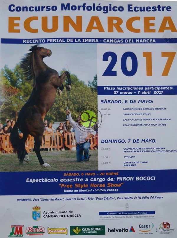 Ecunarcea 2017 en Cangas del Narcea