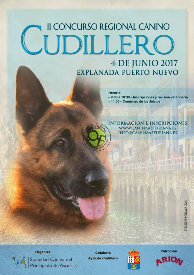 II Concurso Regional Canino en Cudillero 2017