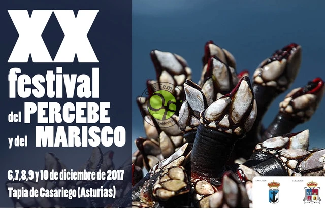 XX Festival del Percebe y del Marisco 2017 en Tapia