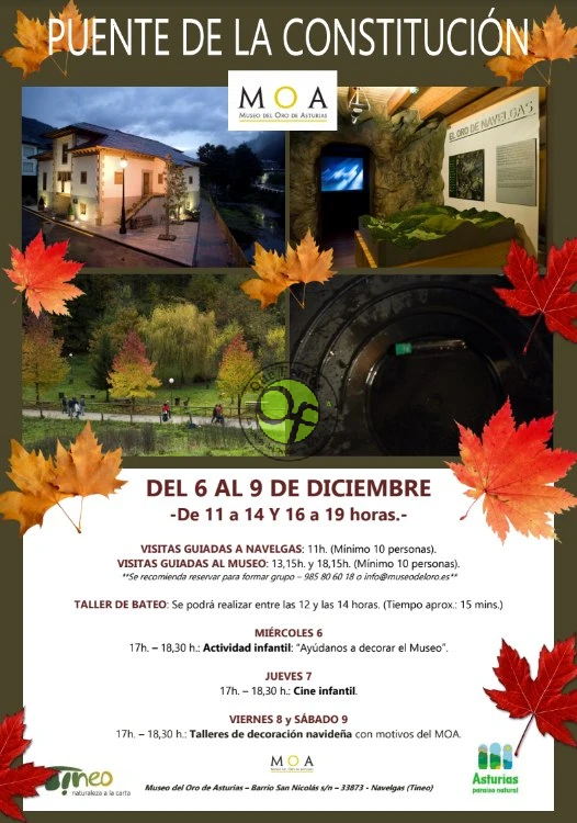 Museo del Oro de Asturias: actividades en el Puente de la Constitución 2017