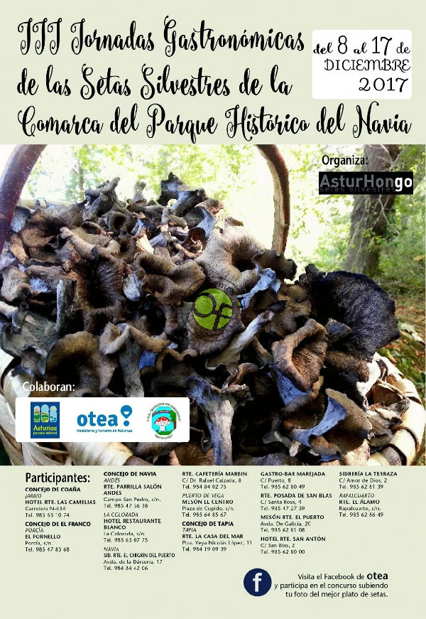 III Jornadas Gastronómicas de las Setas Silvestres de la Comarca del Parque Histórico del Navia