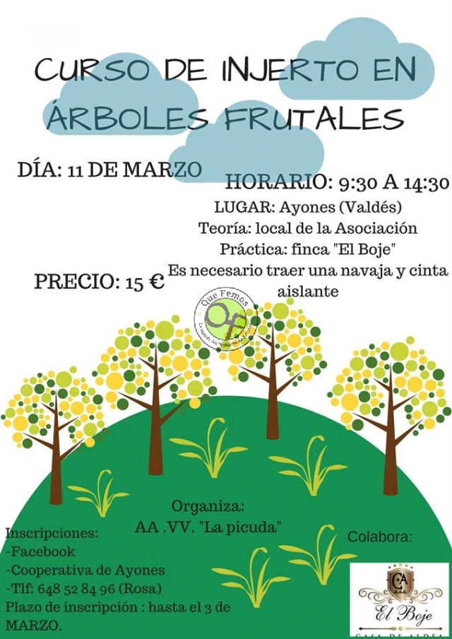 Curso de injerto en árboles frutales en Ayones