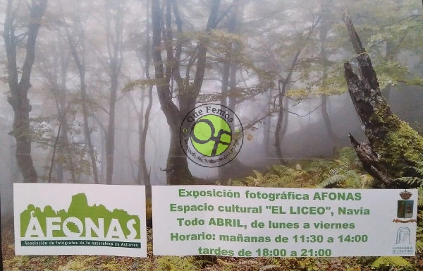 Navia acoge la Exposición Fotográfica AFONAS