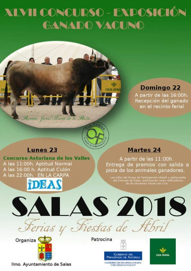 XLVII Concurso-exposición de ganado vacuno de Salas 2018