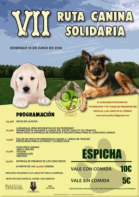 VII Ruta Canina Solidaria de El Franco 2018