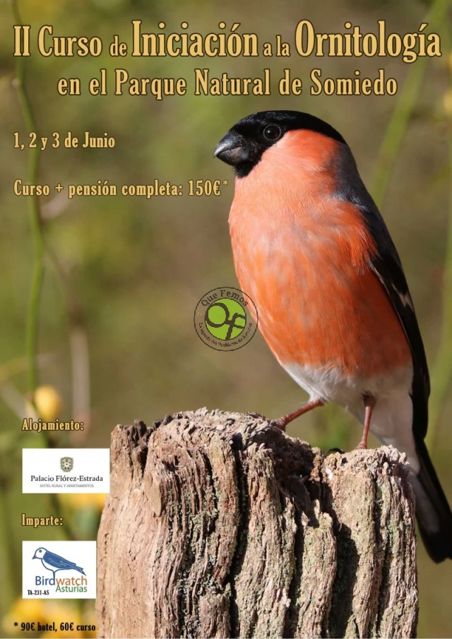II Curso de Iniciación a la Ornitología en Somiedo 2018