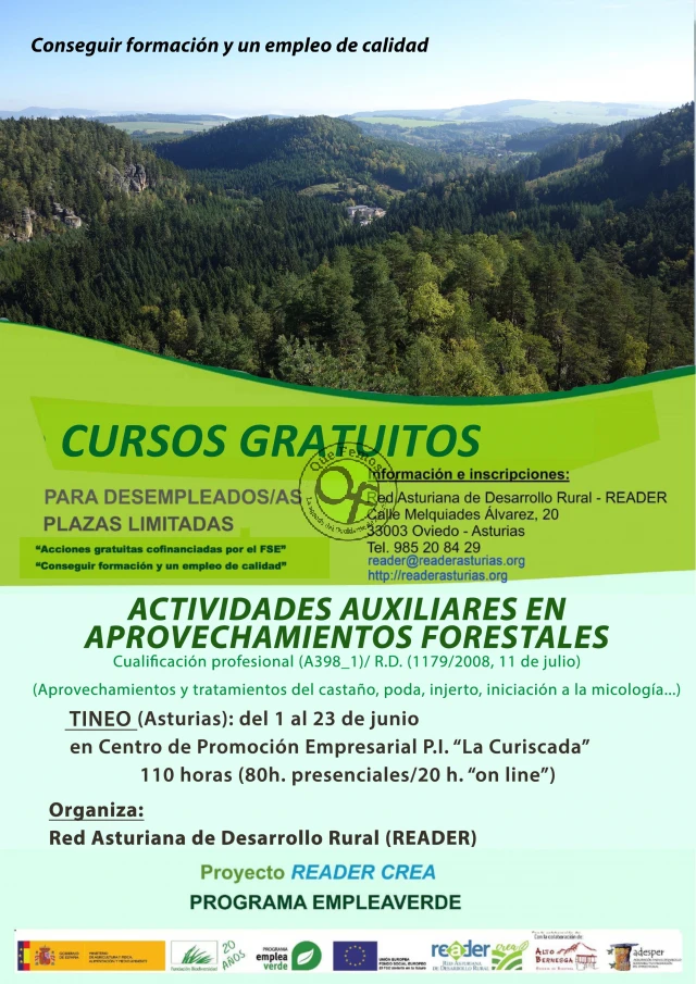Curso de actividades auxiliares en aprovechamientos forestales en Tineo
