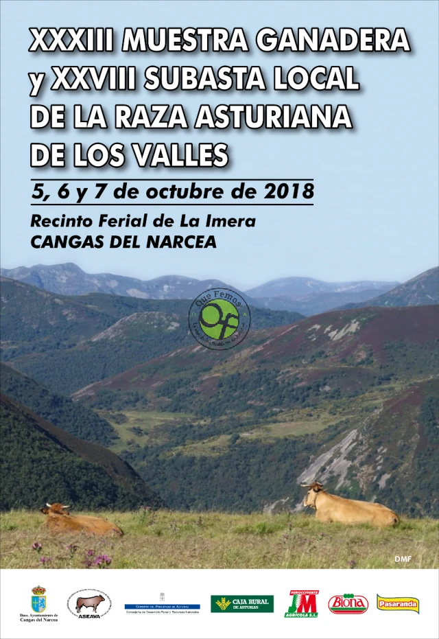 XXXIII Muestra Ganadera Local de la Raza Asturiana de los Valles 2018 en Cangas del Narcea
