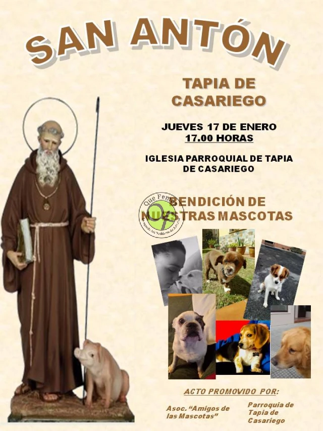 Bendición de mascotas por San Antón 2019 en Tapia