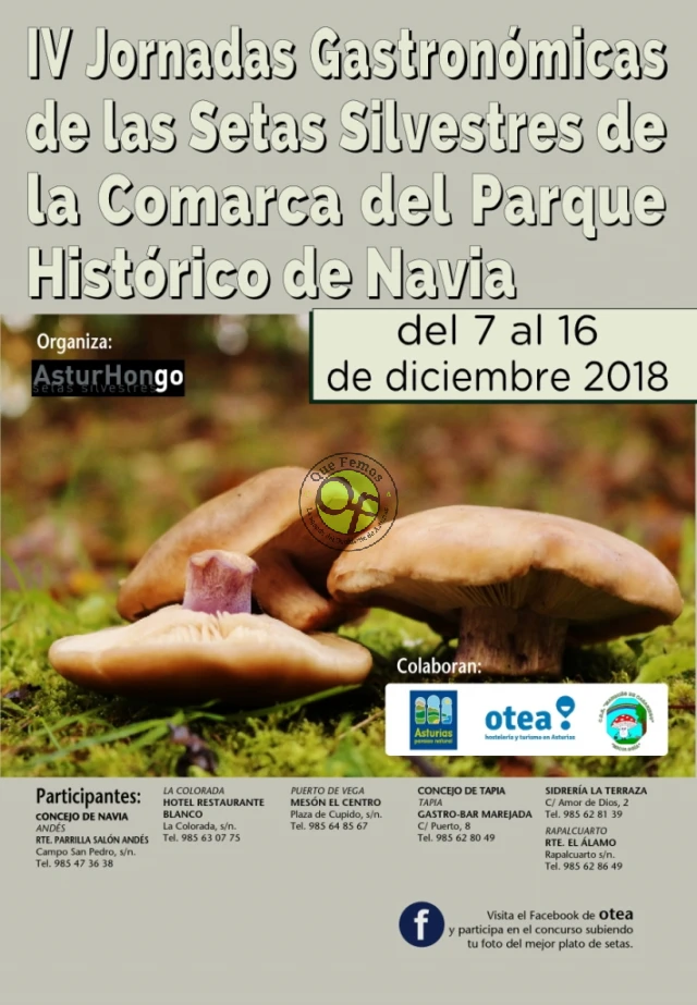 IV Jornadas de las Setas Silvestres del Parque Histórico del Navia 2018