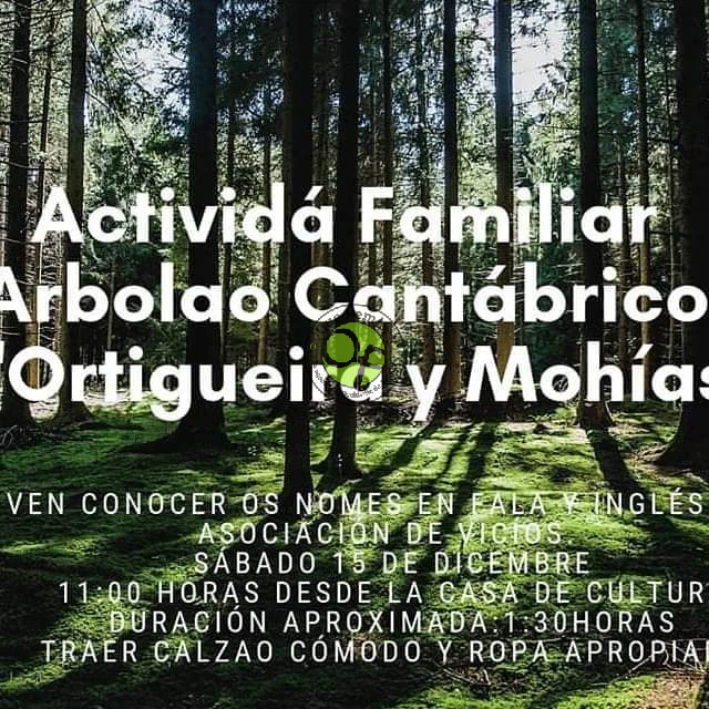 Actividad familiar en Ortigueira: conoce los árboles autóctonos