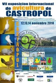 VII Exposición Internacional de Avicultura en Castropol