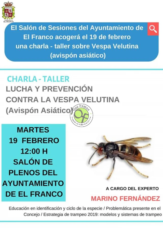 Charla-taller en A Caridá: Lucha y prevención contra la Vespa Velutina