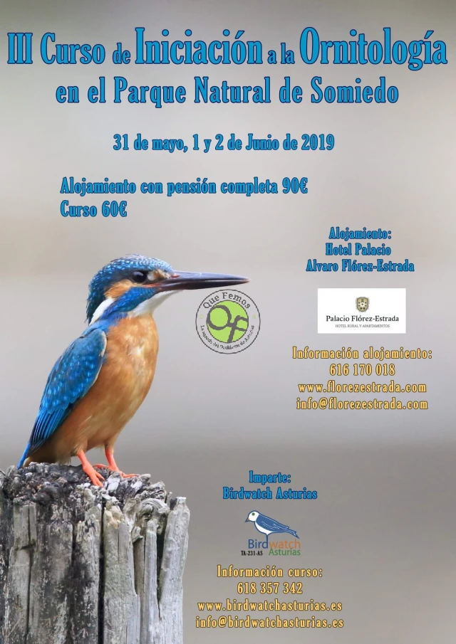 III Curso de Iniciación a la Ornitología en el Parque Natural de Somiedo 2019