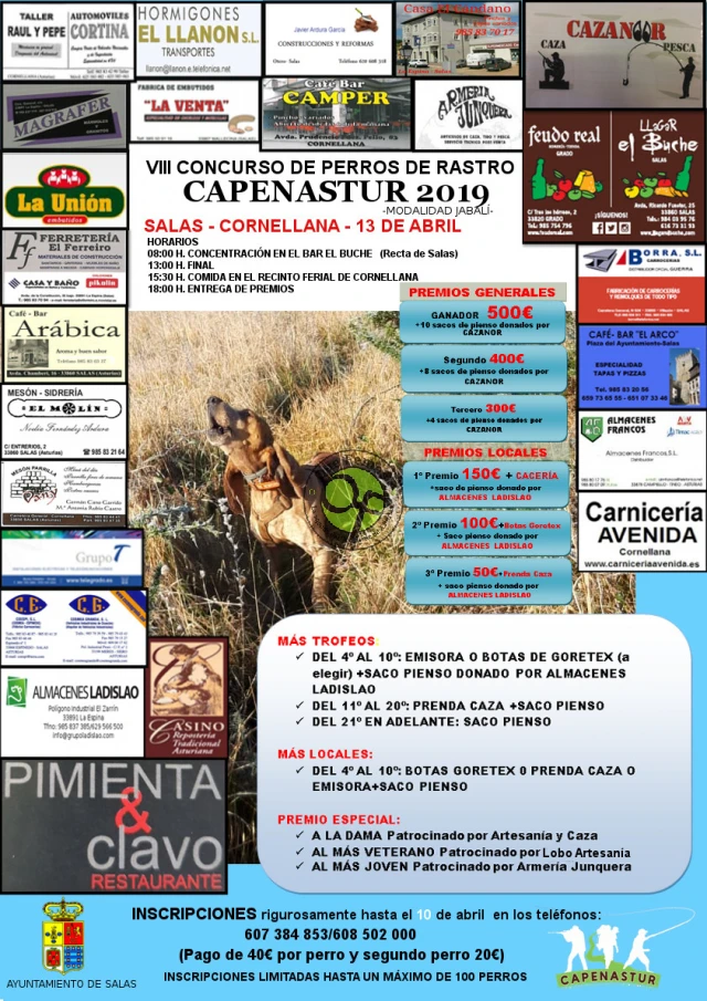 VIII Concurso de perros de rastro Capenastur 2019