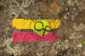 Vámonos de ruta