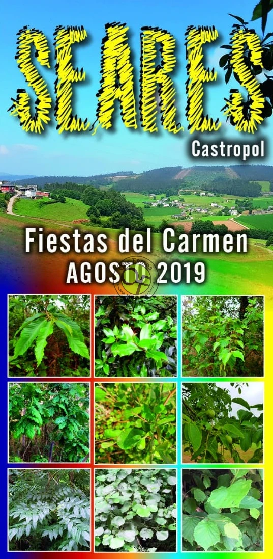 Fiestas del Carmen 2019 en Seares