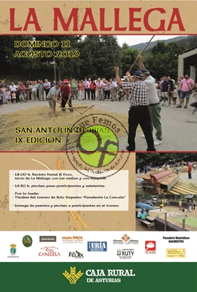 IX Fiesta de la Mallega 2019 en San Antolín de Ibias